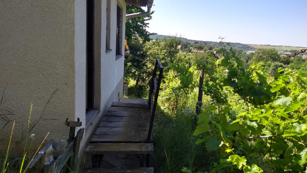 Exkluzívne!!! Na predaj rekreačná chata 23 m2, pozemok 408 m2, Čankov, Levice