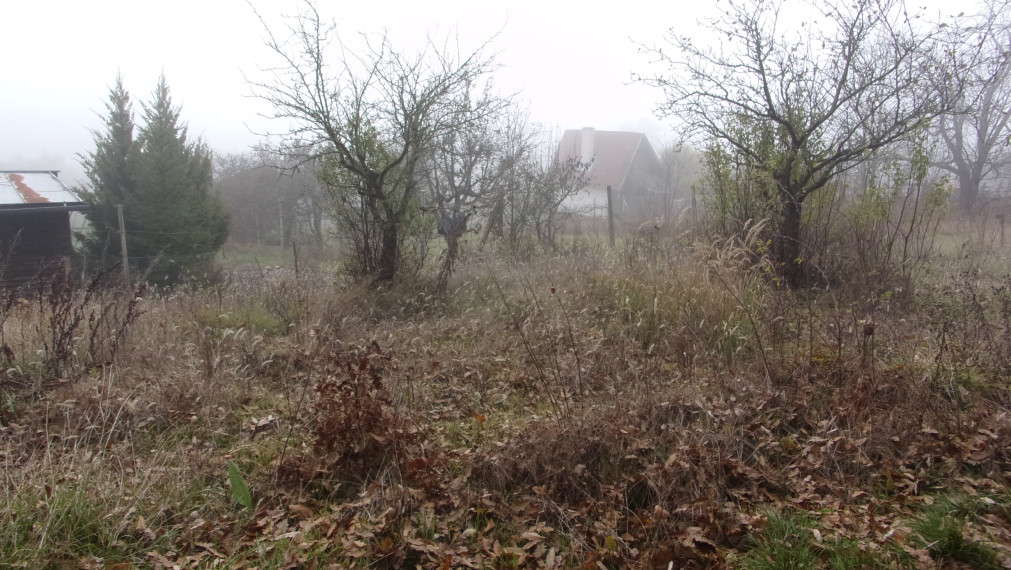 Predaj -  rekreačný pozemok  460 m2 Čankov, Levice