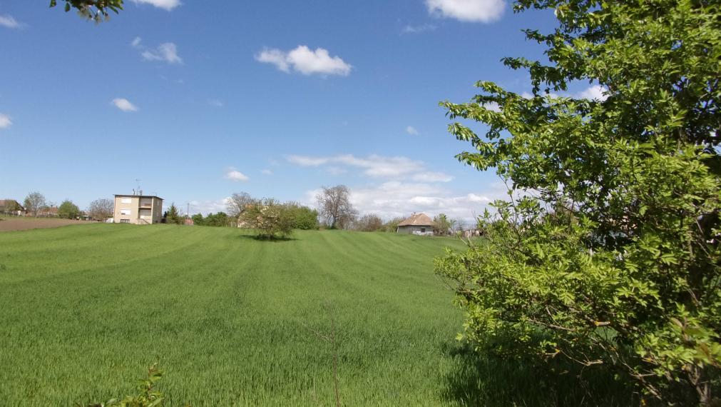 Exkluzívne na predaj stavebný pozemok , 4872 m2, okres Levice