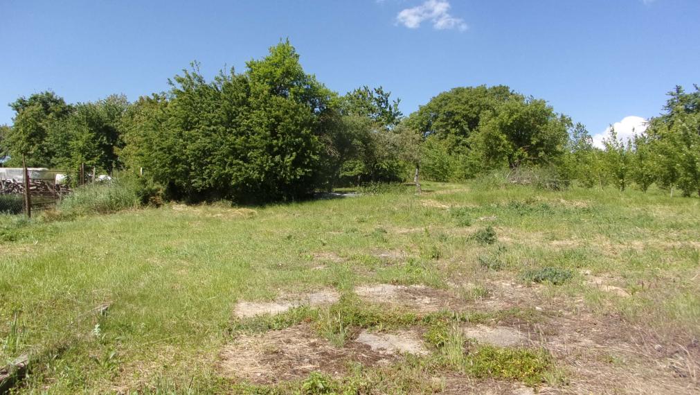 Predaj stavebný pozemok 2426 m2, tichá lokalita, blízkosť termálneho kúpaliska Podhájska