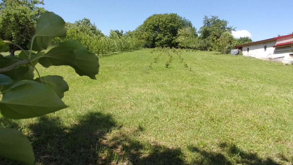 Predaj stavebný pozemok 2426 m2, tichá lokalita, blízkosť termálneho kúpaliska Podhájska