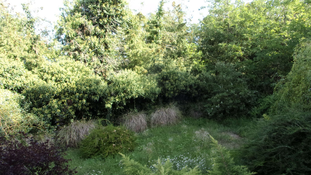 Exkluzívne na predaj rodinný dom, rekonštrukcia,  pozemok 2576 m2, Kolta, Nové Zámky