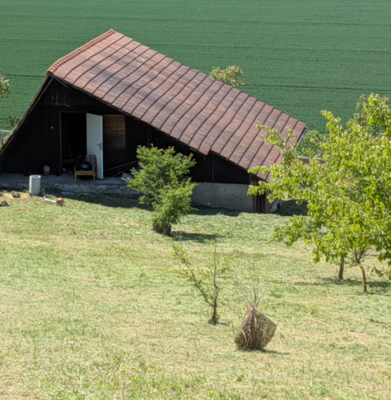 Na predaj chata vo vinohradníckej oblasti Staré Levice