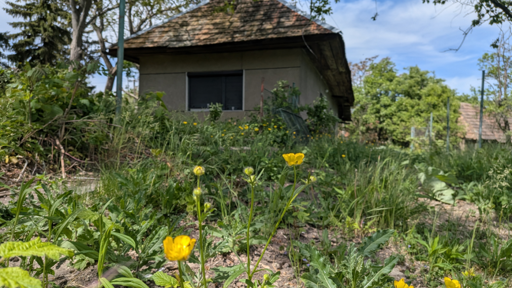 Exkluzívny predaj vidiecky dom, zaujímavý pozemok 878 m2, Malé Kozmálovce  okres Levice