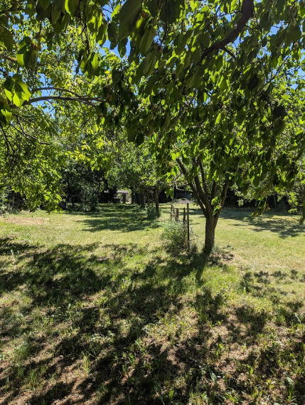 REZERVOVANÉ predaj útulná chalupa 190 m2, na pozemku 1265 m2, Veľké Ludince,  Levice