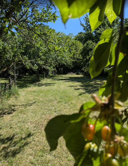 REZERVOVANÉ predaj útulná chalupa 190 m2, na pozemku 1265 m2, Veľké Ludince,  Levice