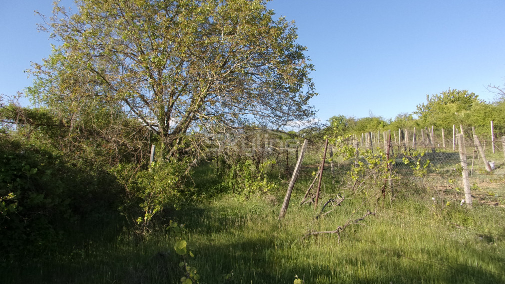 Znížená cena!!!Ponúkame na predaj viničný domček v pôvodnom , na rozľahlom slnečnom pozemku v tichej  lokalite vinohradníckej oblasti Starých Levíc.