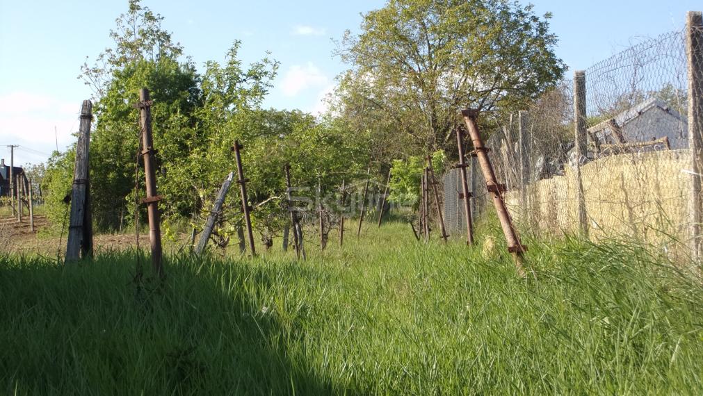 Znížená cena!!!Ponúkame na predaj viničný domček v pôvodnom , na rozľahlom slnečnom pozemku v tichej  lokalite vinohradníckej oblasti Starých Levíc.