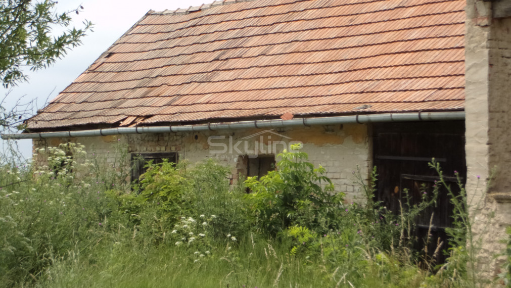 Na predaj vidiecka usadlosť, pozemok 3700 m2, 15 km od Nových Zámkov