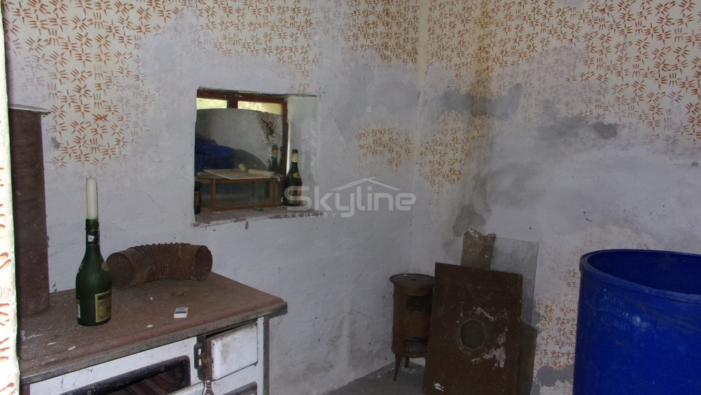 Znížená cena!!!Ponúkame na predaj viničný domček v pôvodnom , na rozľahlom slnečnom pozemku v tichej  lokalite vinohradníckej oblasti Starých Levíc.