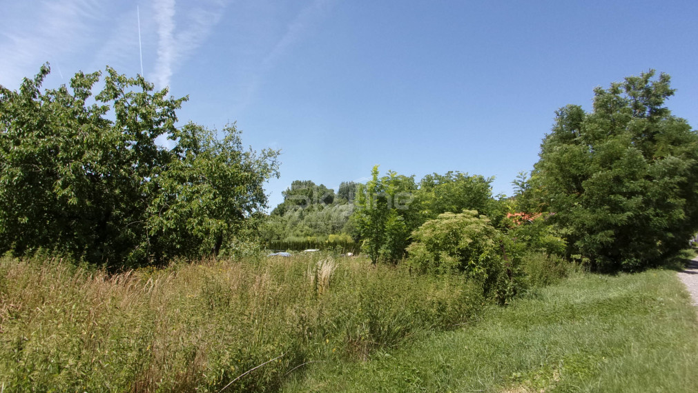 Exkluzívne predaj pozemku 4020 m2 , investičná príležitosť, obec Bardoňovo, blízkosť termálneho kúpaliska Podhájska