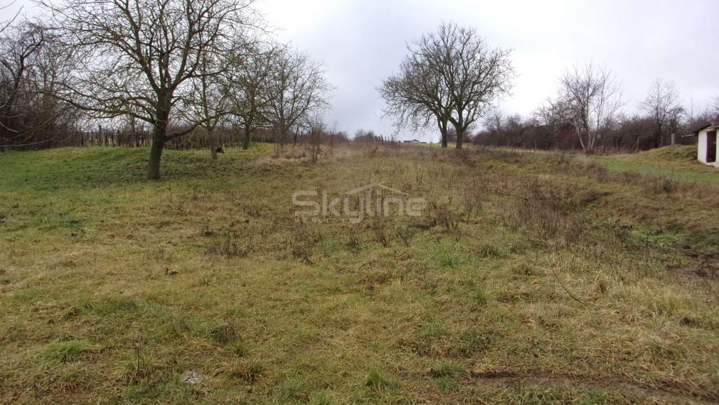 EXKLUZÍVNE v ponuke rekreačný pozemok 2950 m2 v obci Čaka neďaleko Levíc.