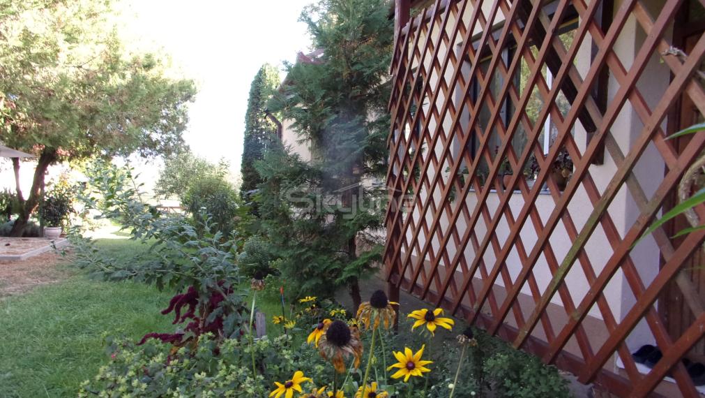 Na predaj útulný vidiecky dom 168 m2, pozemok 2457 m2, Pastovce, Levice