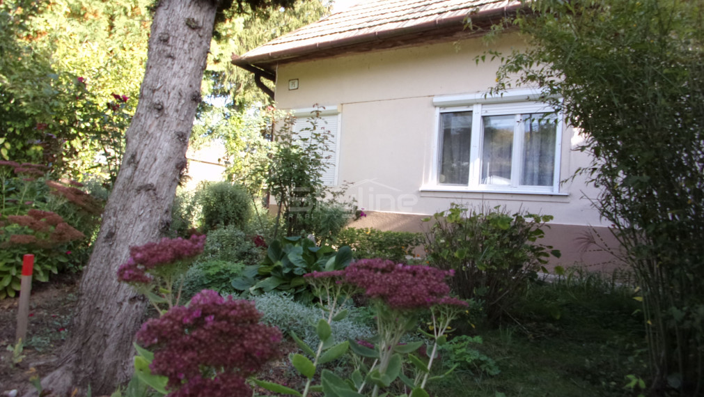 Na predaj útulný vidiecky dom 168 m2, pozemok 2457 m2, Pastovce, Levice