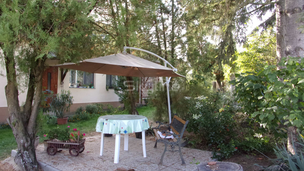 Na predaj útulný vidiecky dom 168 m2, pozemok 2457 m2, Pastovce, Levice