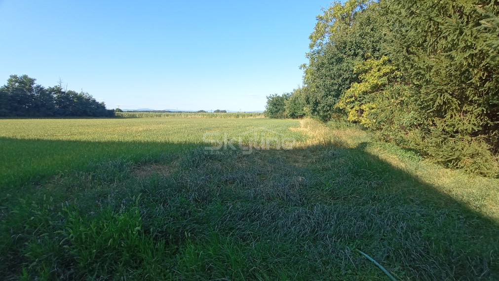 Na predaj zaujímavý stavebný pozemok 3800 m2 v tichej lokalite obce Medvecké, Levice