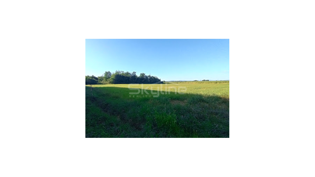 Na predaj zaujímavý stavebný pozemok 3800 m2 v tichej lokalite obce Medvecké, Levice