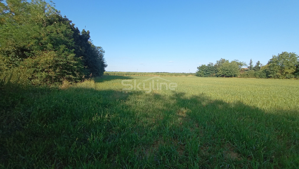 Na predaj zaujímavý stavebný pozemok 3800 m2 v tichej lokalite obce Medvecké, Levice