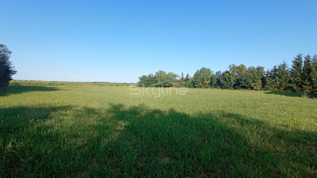 Na predaj zaujímavý stavebný pozemok 3800 m2 v tichej lokalite obce Medvecké, Levice