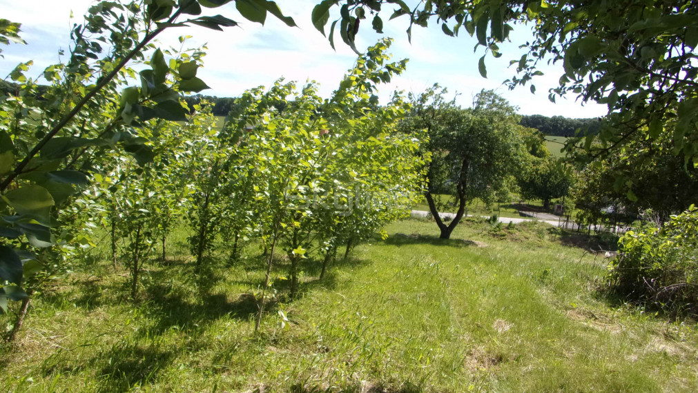 Na predaj stavebný pozemok 2426 m2, tichá lokalita, blízkosť termálneho kúpaliska Podhájska