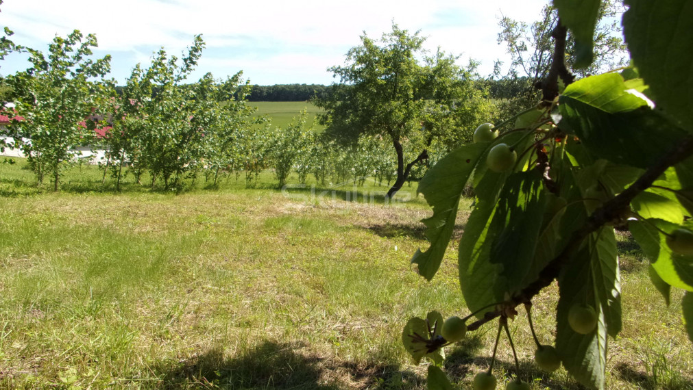 Na predaj stavebný pozemok 2426 m2, tichá lokalita, blízkosť termálneho kúpaliska Podhájska