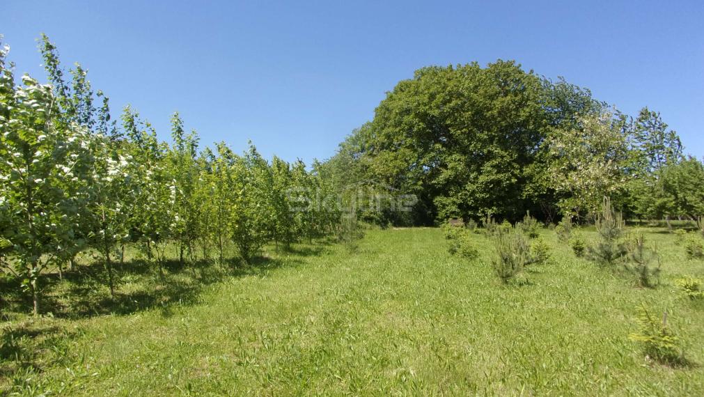 Na predaj stavebný pozemok 2426 m2, tichá lokalita, blízkosť termálneho kúpaliska Podhájska