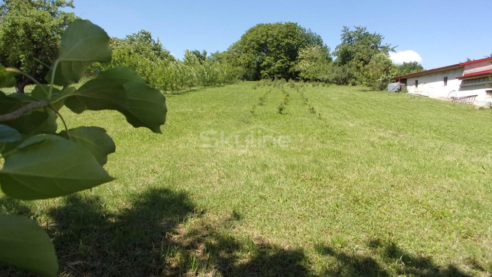 Predaj stavebný pozemok 2426 m2, tichá lokalita, blízkosť termálneho kúpaliska Podhájska