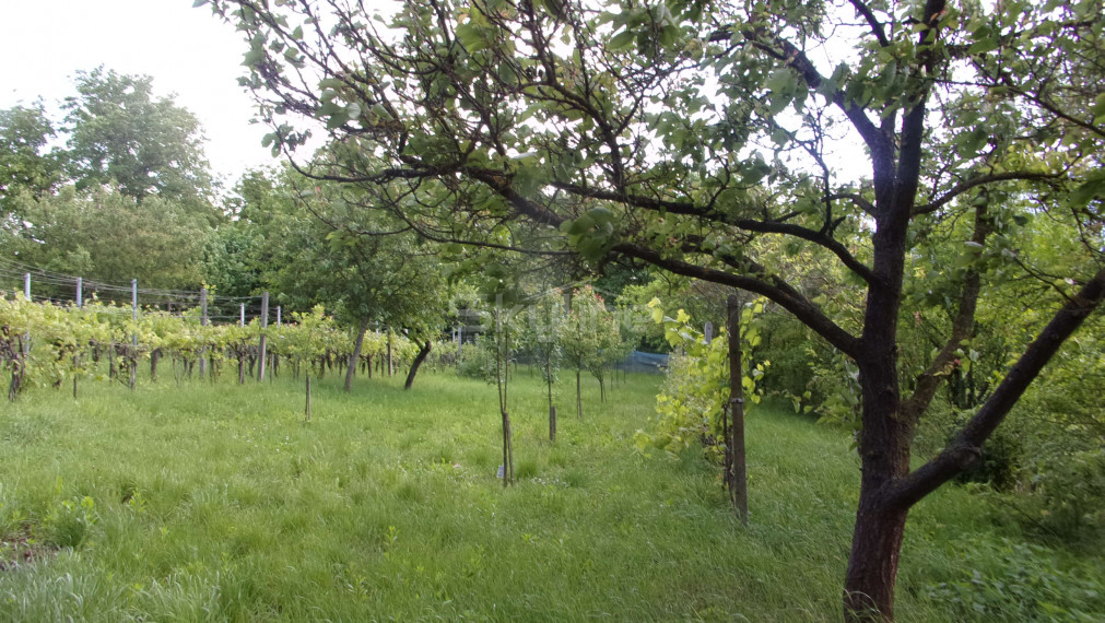 predaj zariadený vidiecky dom 90 m2, pozemok 1360 m2, pôvodný stav, Čaka, Levice