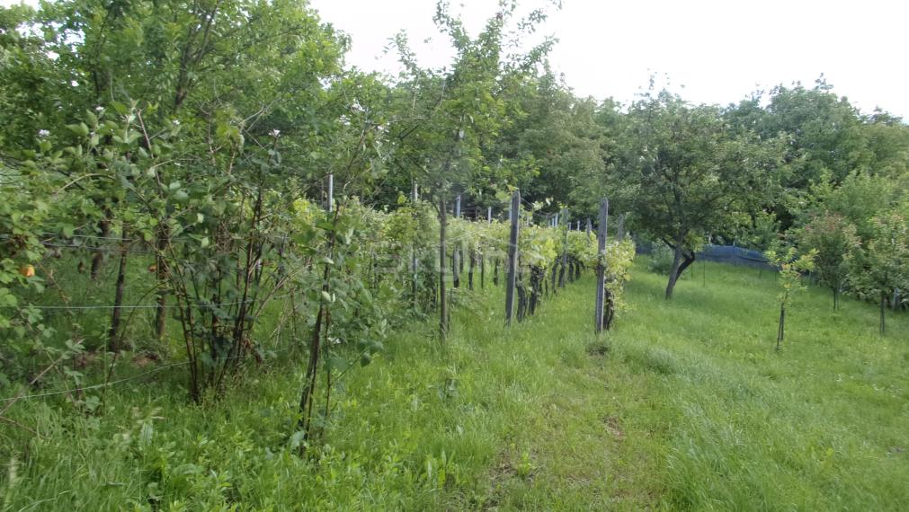 predaj zariadený vidiecky dom 90 m2, pozemok 1360 m2, pôvodný stav, Čaka, Levice