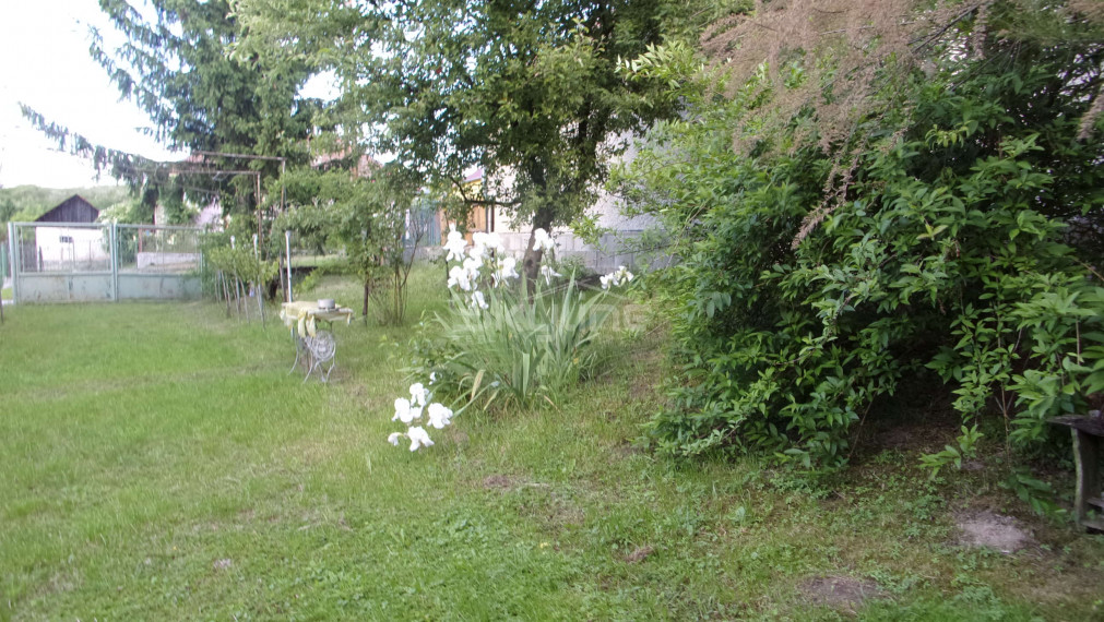 predaj zariadený vidiecky dom 90 m2, pozemok 1360 m2, pôvodný stav, Čaka, Levice