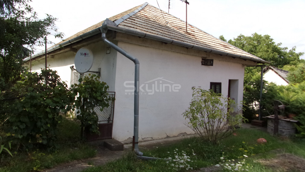 Exkluzívny predaj - vidiecky dom 90 m2, pozemok 4269 m2, Dedinka, Nové Zámky