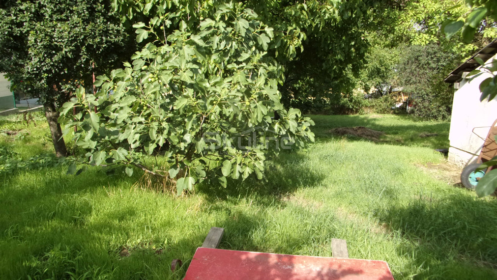 Exkluzívny predaj - vidiecky dom 90 m2, pozemok 4269 m2, Dedinka, Nové Zámky