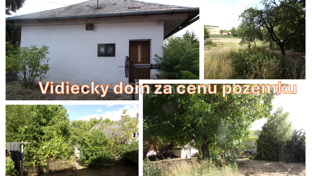 Exkluzívny predaj - vidiecky dom 90 m2, pozemok 4269 m2, Dedinka, Nové Zámky