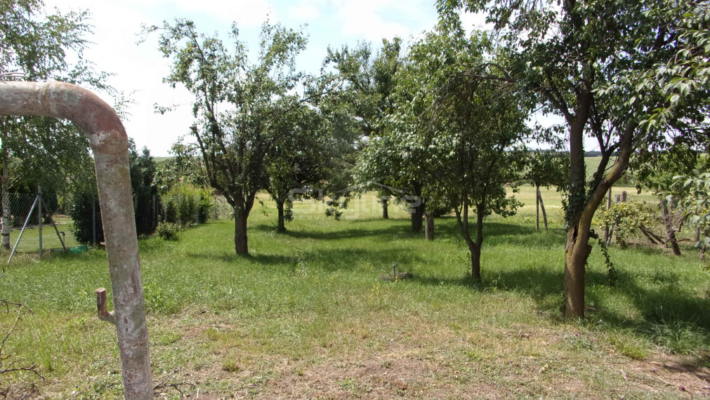 Znížená cena!! na predaj vidiecky dom, pôvodný stav, pozemok  2119 m2, Kolta, Nové Zámky