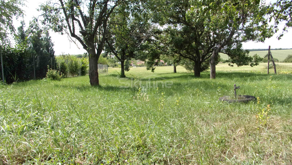 Znížená cena!! na predaj vidiecky dom, pôvodný stav, pozemok  2119 m2, Kolta, Nové Zámky