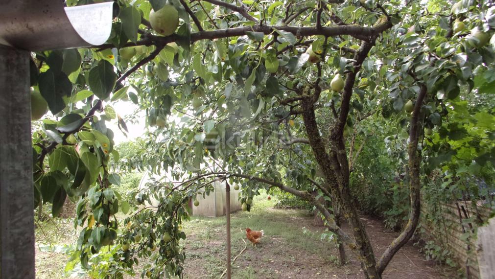 Výrazne znížená cena!! - dvojgeneračný rodinný dom, pozemok 1450 m2, rekonštrukcia, Pusté Sady