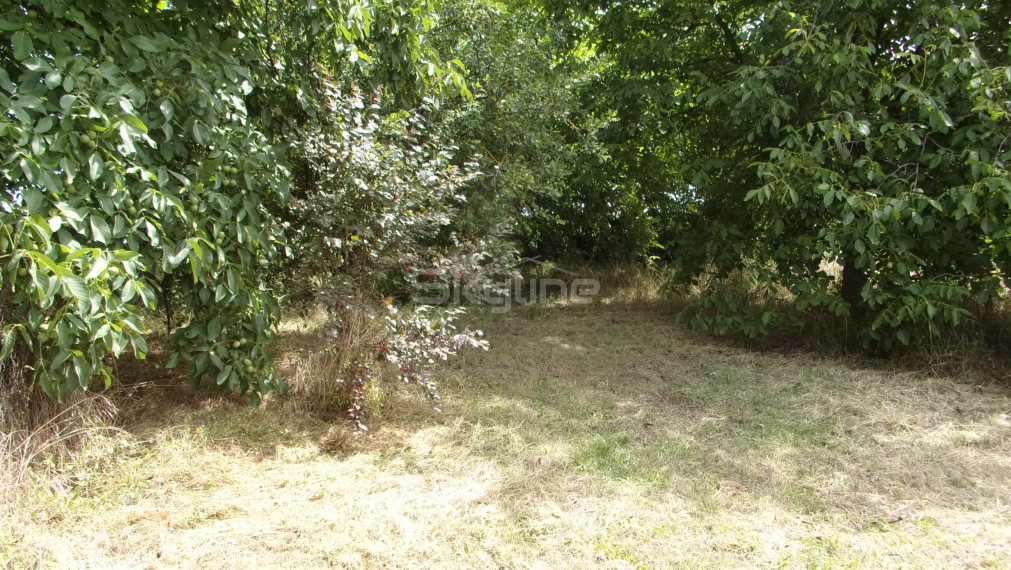 Znížená cena!!! predaj 3 izbový rodinný dom, tichá lokalita, Kolta, Nové Zámky