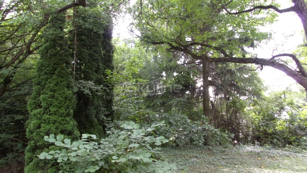 PREDANÉ!! na predaj rodinný dom 130 m2, pôvodný stav, pozemok 1244 m2, Žikava, Zlaté Moravce