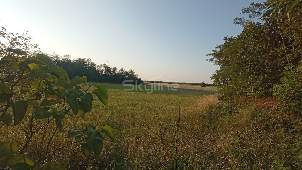 Na predaj zaujímavý stavebný pozemok 3800 m2 v tichej lokalite obce Medvecké, Levice