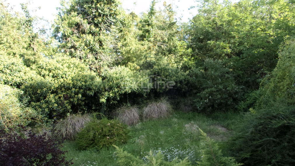 Exkluzívne na predaj rodinný dom, rekonštrukcia,  pozemok 2576 m2, Kolta, Nové Zámky