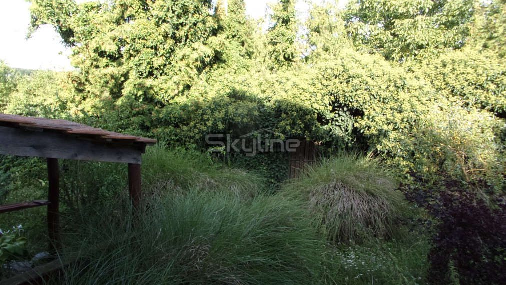 Exkluzívne na predaj rodinný dom, rekonštrukcia,  pozemok 2576 m2, Kolta, Nové Zámky