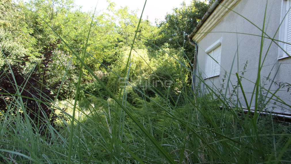 Exkluzívne na predaj rodinný dom, rekonštrukcia,  pozemok 2576 m2, Kolta, Nové Zámky