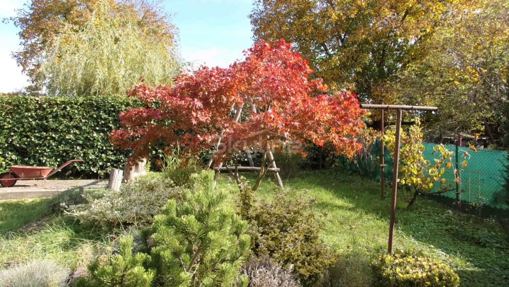 Na predaj rodinný dom, chalupa,  pozemok 1409 m2 v obci Dedinka, okres Nové Zámky