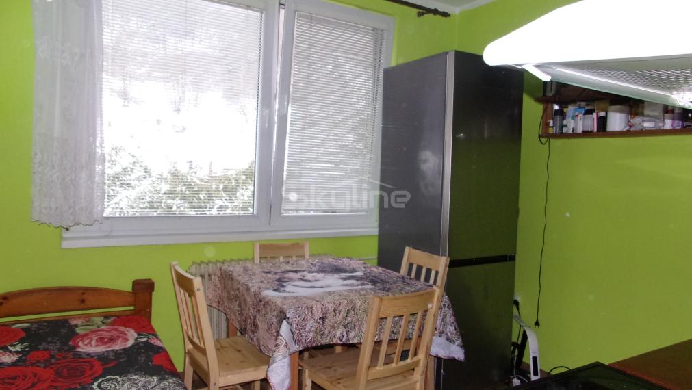 Exkluzívne na predaj 1 izbový byt, čiastočná rekonštrukcia, Banská Hodruša, Žarnovica