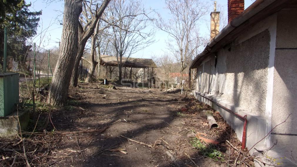 Exkluzívny predaj vidiecky dom, zaujímavý pozemok 878 m2, Malé Kozmálovce  okres Levice