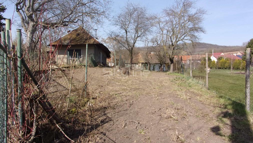 Exkluzívny predaj vidiecky dom, zaujímavý pozemok 878 m2, Malé Kozmálovce  okres Levice