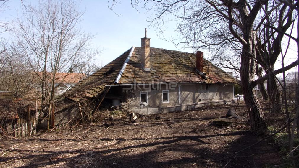 Exkluzívny predaj vidiecky dom, zaujímavý pozemok 878 m2, Malé Kozmálovce  okres Levice