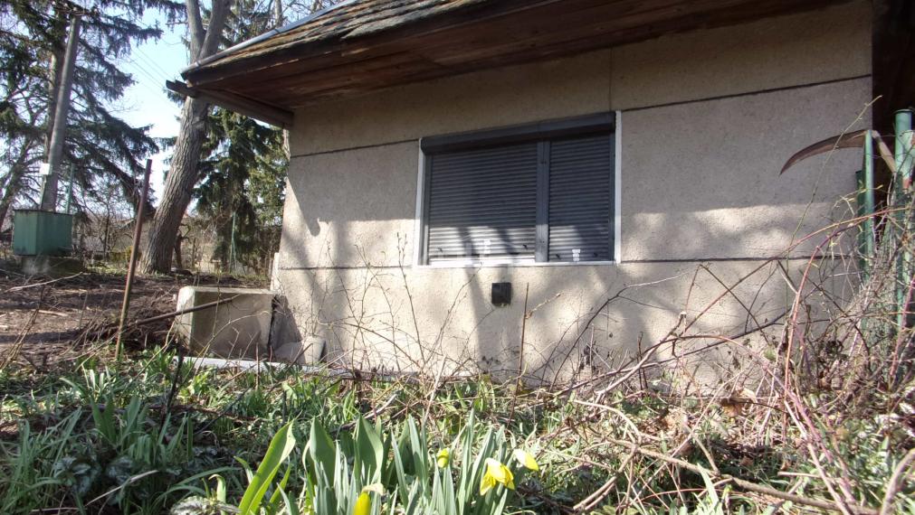 Exkluzívny predaj vidiecky dom, zaujímavý pozemok 878 m2, Malé Kozmálovce  okres Levice