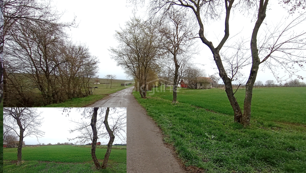 Na predaj rekreačný pozemok 6186 m2, Farná, Levice