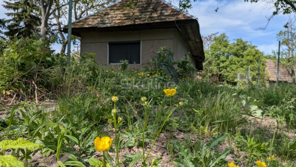 Exkluzívny predaj vidiecky dom, zaujímavý pozemok 878 m2, Malé Kozmálovce  okres Levice